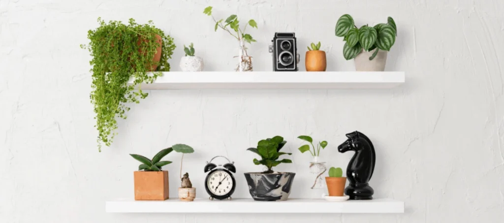 Floating shelves
