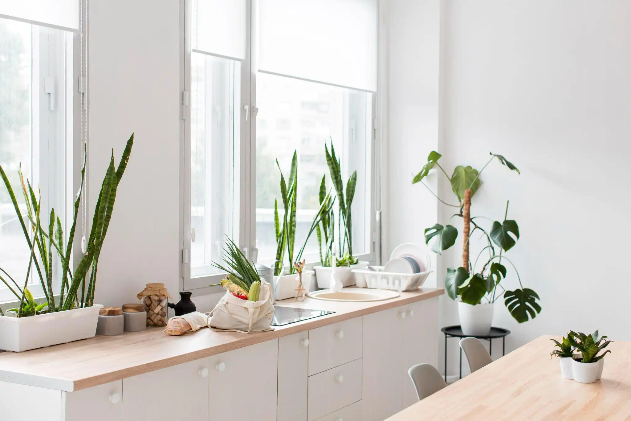 Raised Panel vs Flat Panel Doors: Styles & Key Differences